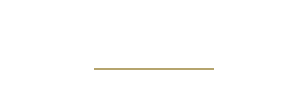 light logo